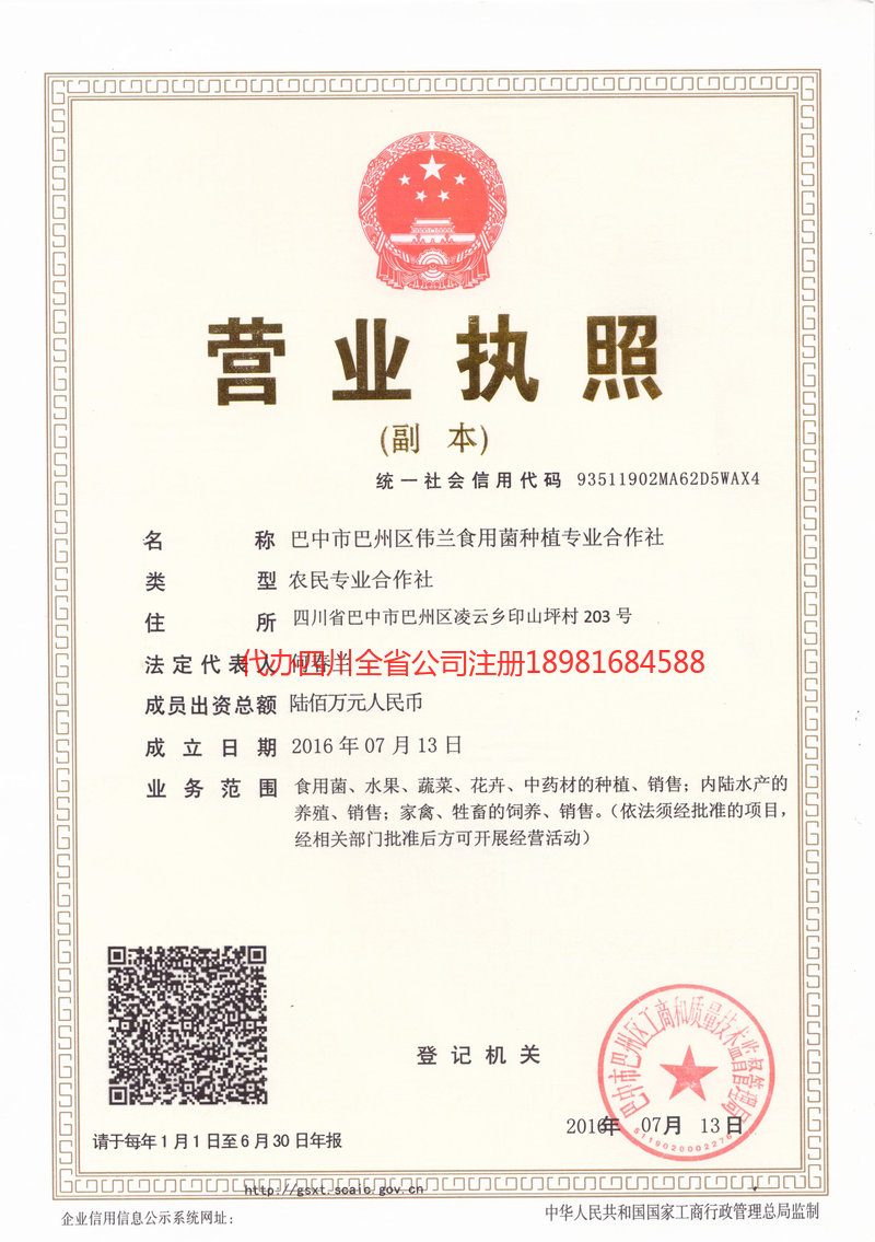 贵港贵港伟兰食用菌种植专业合作社